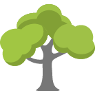 Pickerington Tree Trimming