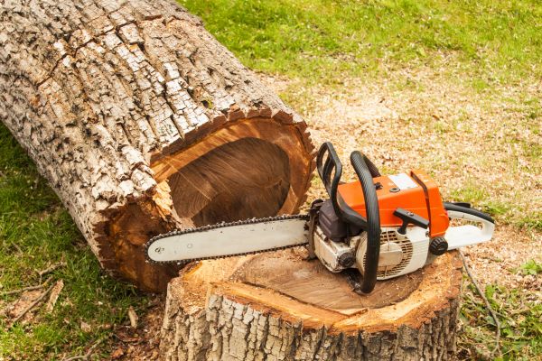 Tree Cutting Service in Pickerington