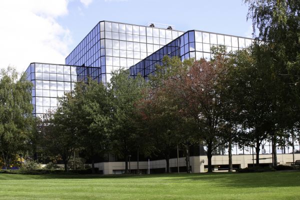 Commercial Tree Trimming in Pickerington